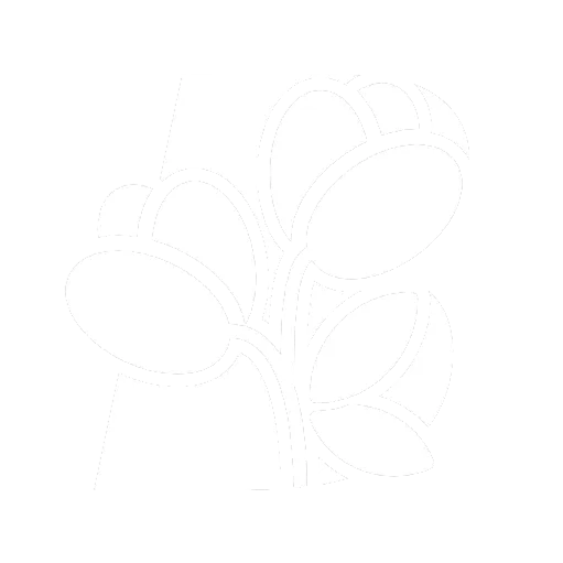Blooming logo